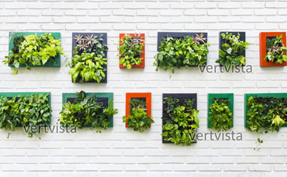 green wall frames