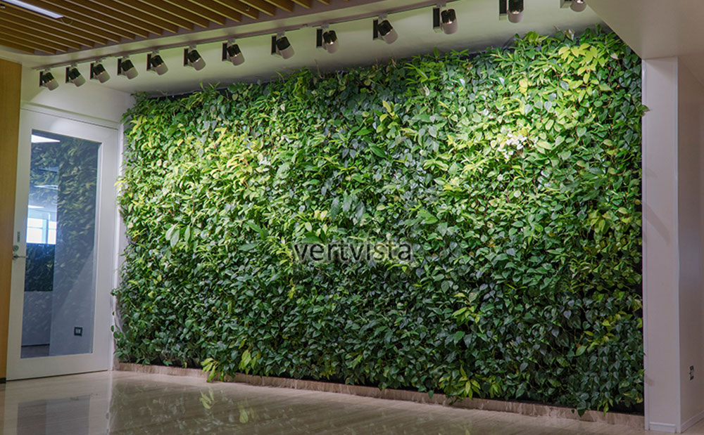 indoor vertical gardens mumbai