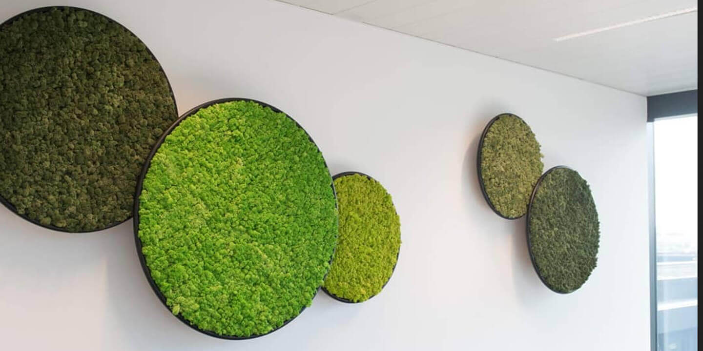 Preserved moss and plant products Banner - Vertvista